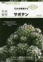 多肉植物サボテン/山城智洋【3000円以上送料無料】