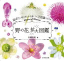 野の花拡大図鑑 道ばたに咲く花たちの美しくて不思議なカタチ/岩槻秀明【3000円以上送料無料】