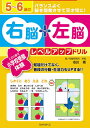 5～6歳の右脳 左脳レベルアップドリル この1冊で小学校受験体験 ／市川希【3000円以上送料無料】