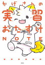 かげさんの実習おたすけNOTE/看護師のかげ【3000円以上送料無料】