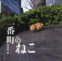 一番町のねこ/深川俊一郎【3000円以上送料無料】