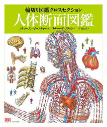 人体断面図鑑／リチャード・プラット／スティーブン・ビースティー／宮坂宏美【3000円以上送料無料】