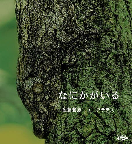 なにかがいる／佐藤雅彦／ユーフラテス【3000円以上送料無料】のサムネイル