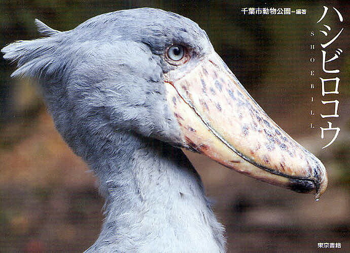 著者千葉市動物公園(編著)出版社東京書籍発売日2010年09月ISBN9784487804993ページ数63Pキーワードはしびろこう ハシビロコウ ちばし／どうぶつ／こうえん チバシ／ドウブツ／コウエン9784487804993内容紹介かっこいい鳥。渋くて大人なハシビロコウさんの魅力を独り占め。特製B3ピンナップ＆ほとんど動かないパラパラマンガ付き。※本データはこの商品が発売された時点の情報です。