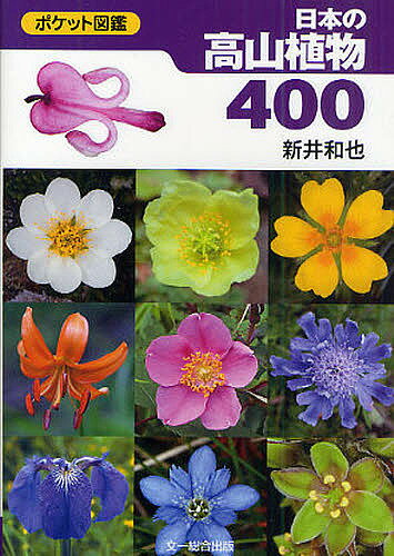 日本の高山植物400／新井和也【3000円以上送料無料】