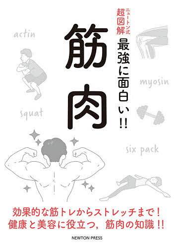 筋肉 効果的な筋トレからストレッチまで!健康と美容に役立つ,筋肉の知識!!【3000円以上送料無料】
