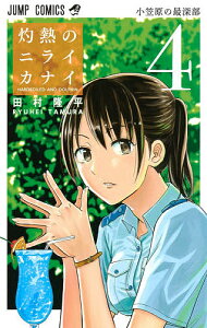 灼熱のニライカナイ HARDBOILED AND DOLPHIN 4/田村隆平【3000円以上送料無料】