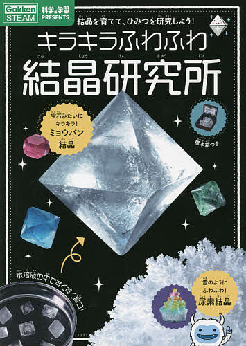 キラキラふわふわ結晶研究所 結晶を育てて、ひみつを研究しよう! ガイドブック／山田芳子