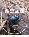 たくましくて美しい糞虫図鑑/中村圭一【3000円以上送料無料】