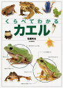 くらべてわかるカエル 識別ポイントで見分ける/松橋利光【3000円以上送料無料】