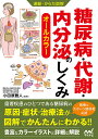 糖尿病・代謝・内分泌のしくみ オールカラー/小田原雅人【3000円以上送料無料】