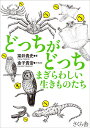 どっちがどっち まぎらわしい生きものたち/梁井貴史/金子貴富【3000円以上送料無料】