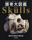 }Skulls(XJ) Animal skulls of the world ͓̏WɁ^gcy3000~ȏ㑗z