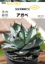 多肉植物アガベ/【ツル】岡秀明【3000円以上送料無料】
