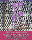 絹大好き 3/中山れいこ/赤井弘【3000円以上送料無料】