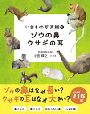 ゾウの鼻ウサギの耳/小宮輝之【3000円以上送料無料】