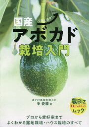 国産アボカド栽培入門 人気上昇中!／東愛理【3000円以上送料無料】