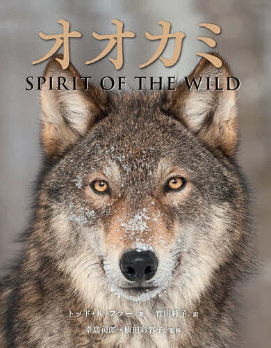 オオカミ SPIRIT OF THE WILD／トッド・K・フラー／竹田純子／幸島司郎【3000円以上送料無料】