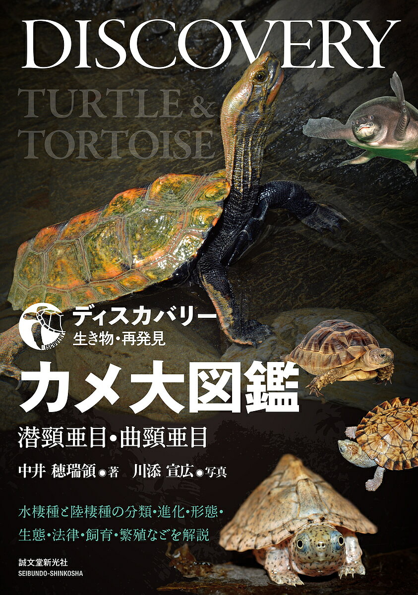 カメ大図鑑 潜頸亜目・曲頸亜目 水棲種と陸棲種の分類・進化・形態・生態・法律・飼育・繁殖などを解説／中井穂瑞領／川添宣広【3000円以上送料無料】