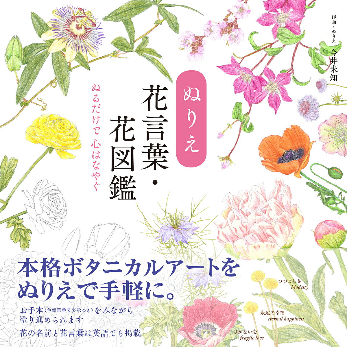 ぬりえ花言葉・花図鑑 ぬるだけで心はなやぐ／今井未知【3000円以上送料無料】