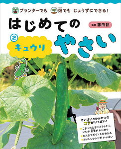 はじめてのやさい プランターでも畑でもじょうずにできる! 2／藤田智【3000円以上送料無料】