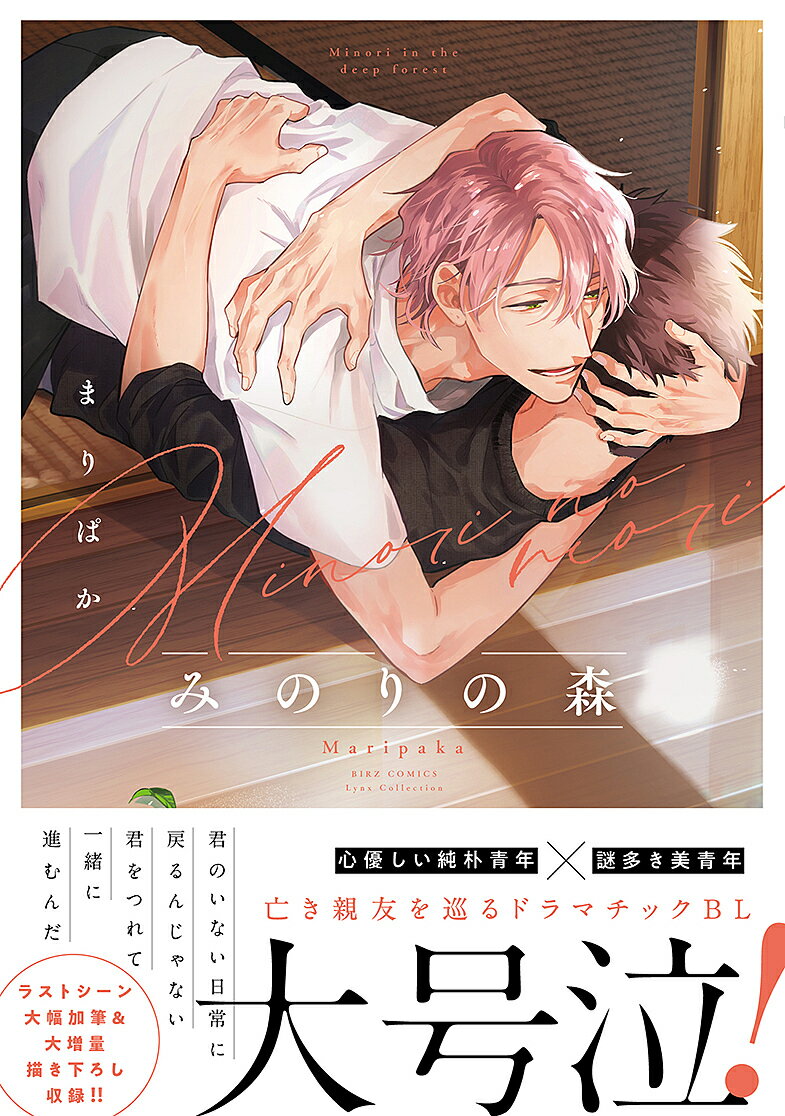 【3千円以上送料無料】みのりの森／まりぱか