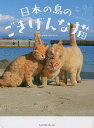 日本の島のごきげんな猫/simabossneko【3000円以上送料無料】