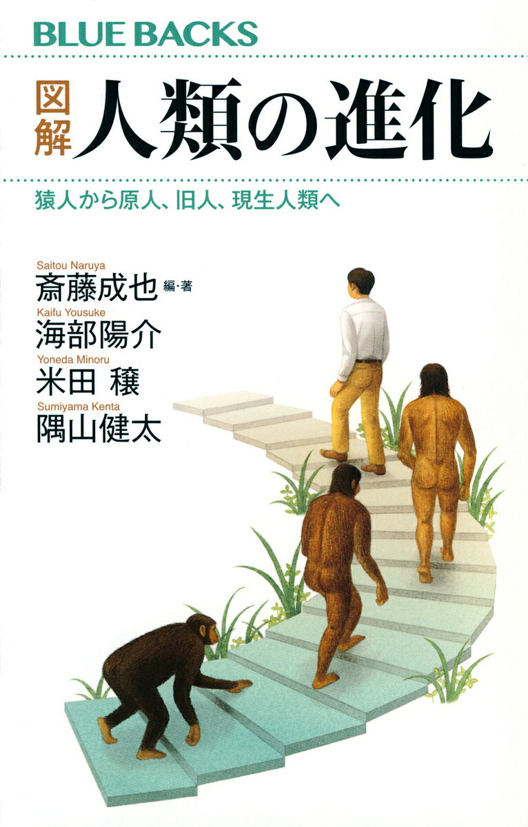 図解人類の進化 猿人から原人、旧人、現生人類へ／斎藤成也／・著海部陽介／米田穣【3000円以上送料無料】