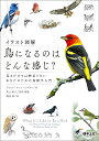 イラスト図解鳥になるのはどんな感じ? 見るだけでは物足りないあなたのための鳥類学入門/デビッド・アレン・シブリー/川上和人/・解説嶋田香【3000円以上送料無料...