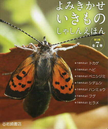 よみきかせいきものしゃしんえほん 第5期 7巻セット／関慎太郎【3000円以上送料無料】