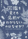 図鑑を見ても名前がわからないのはなぜか? 生きものの“同定”でつまずく理由を考えてみる/須黒達巳【3000円以上送料無料】