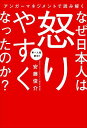 アンガーマネジメントで読み解くなぜ日本人は怒りやすくなったのか?/安藤俊介【3000円以上送料無料】