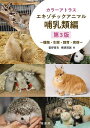 カラーアトラスエキゾチックアニマル 種類・生態・飼育・疾病 哺乳類編/霍野晋吉/横須賀誠【3000円以上送料無料】