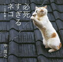 必死すぎるネコ 一心不乱篇/沖昌之【3000円以上送料無料】