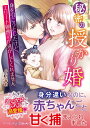秘密の授かり婚 身を引こうとしたけど、エリート御曹司が逃がしてくれません/ひなの琴莉【3000円以上送料無料】