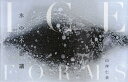 ICE FORMS 氷の不思議/山岸仁史【3000円以上送料無料】