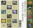 ふるさとの草木花と寄り道 世界遺産のある街高野山麗かつらぎ町/山元晃/揚塩文夫【3000円以上送料無料】