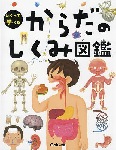 　めくって学べるからだのしくみ図鑑【3000円以上送料無料】