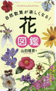 自然散策が楽しくなる!花図鑑/山田隆彦【3000円以上送料無料】