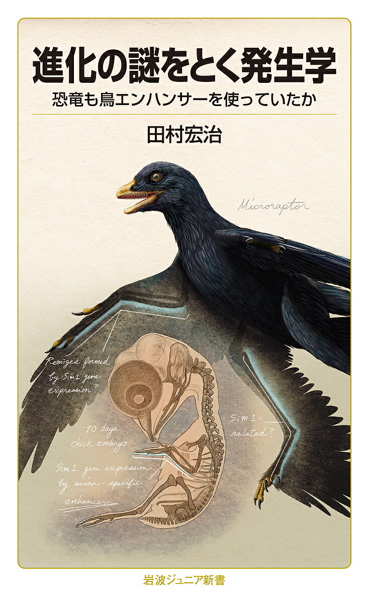 進化の謎をとく発生学 恐竜も鳥エンハンサーを使っていたか／田村宏治【3000円以上送料無料】