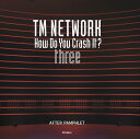 TM NETWORK How Do You Crash It? AFTER PAMPHLET three【3000円以上送料無料】