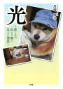 光 悲しみの向こう側に見えた情景/川崎博幸【3000円以上送料無料】