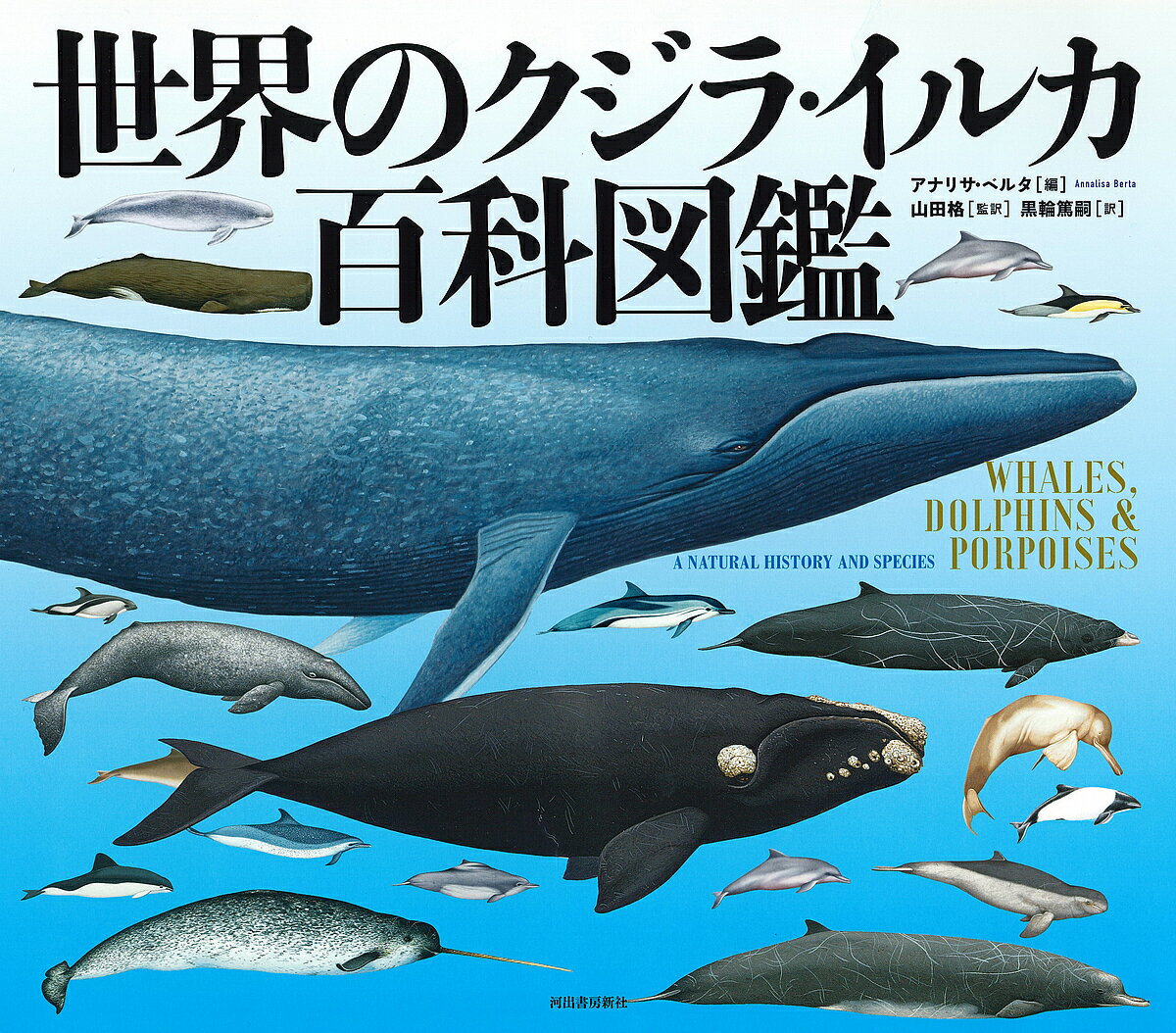 世界のクジラ・イルカ百科図鑑 新装版／アナリサ・ベルタ／山田格／黒輪篤嗣【3000円以上送料無料】