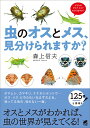 虫のオスとメス、見分けられますか?/森上信夫【3000円以上送料無料】