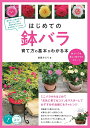 はじめての鉢バラ育て方の基本がわかる本 鉢でバラを美しく咲かせるポイント/後藤みどり【3000円以上送料無料】
