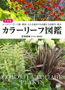 カラーリーフ図鑑 決定版 オールシーズン・日陰・酷暑・どんな場所でも活躍する宿根草・樹木/荻原範雄【3000円以上送料無料】