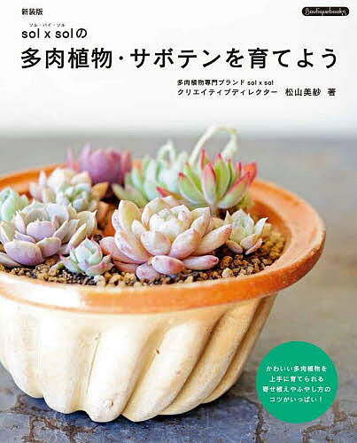 ＜6/25 全品20倍 要エントリー＞sol×solの多肉植物・サボテンを育てよう／松山美紗