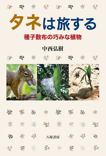 著者中西弘樹(著)出版社八坂書房発売日2022年06月ISBN9784896943313ページ数318Pキーワードたねわたびするしゆしさんぷのたくみ タネワタビスルシユシサンプノタクミ なかにし ひろき ナカニシ ヒロキ9784896943313内容紹介風に飛ばされ、水に流され、雨滴に弾かれ、アリに運ばれ、動物の餌となり……、種子は自然の力を巧みに利用して親元から離れ、生活の場を拡大している。半世紀にわたり種子散布の研究を重ねてきた著者が、驚きに満ちた植物の知恵と工夫を大公開！自然から学ぶことは沢山ある。動くことができない植物が、エネルギーを使わず種子を拡げる方法には、製品開発に応用できる「生物模倣」のヒントが潜んでいるに違いない！※本データはこの商品が発売された時点の情報です。目次第1章 風によって運ばれるタネ（タンポポの意味は舞い上がるタネ？/ワタとキワタの綿毛 ほか）/第2章 水によって運ばれるタネ（流れ寄るヤシの実は一つでなかった/モダマは藻の玉？ ほか）/第3章 動物によって運ばれるタネ（コーヒーとカカオの動物/果物の王様—ドリアン ほか）/第4章 自ら飛ばすタネ（ホウセンカは耐えられない？/カタバミの自動散布 ほか）/第5章 運ばれないタネ（世界最大のタネ—フタゴヤシ/ヤブツバキは照葉樹林の代表種 ほか）