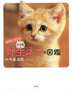 かわいすぎる小さな野生ネコの図鑑/今泉忠明【3000円以上送料無料】
