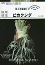 観葉植物ビカクシダ/杉山拓巳【3000円以上送料無料】